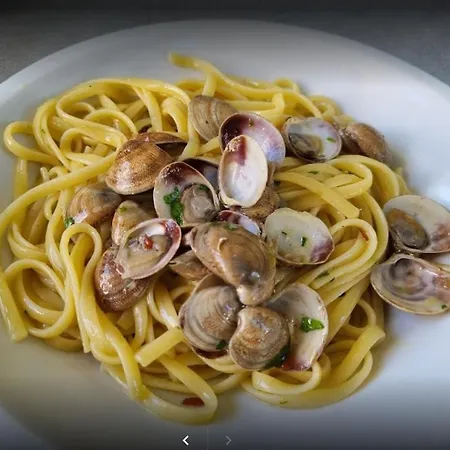 Pacific Hotel Cattolica